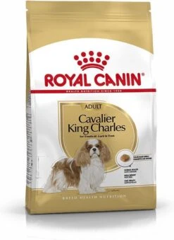 Royal Canin Cavalier King Charles Adult - Hondenvoer - 7,5 Kg 24 Royal Canin Cavalier King Charles Adult - Hondenvoer - 7,5 Kg -Hondenartikelen Serie Winkel 875x1200