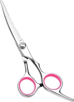 Professor Q - Hondenschaar Krom - Krommende Hondenschaar Rechts - Professionele Hondenschaar -Hondenartikelen Serie Winkel 875x1200 5