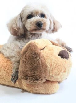 Merkloos Knuffel Met Hartslag Speciaal Voor Puppy's - Snuggle Heart Beat Puppy - Hartslagknuffel - Pluche -Hondenartikelen Serie Winkel 888x1200 2