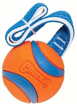 Chuckit! Chuckit Ultra Tug – Hondenspeelgoed - Blauw/Oranje – Large - ø 7 Cm -Hondenartikelen Serie Winkel 890x1200 5