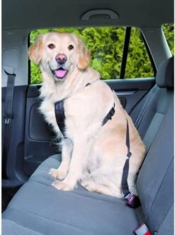 Trixie Auto-Tuig Zwart Maat - M 31 Trixie Auto-Tuig Zwart Maat - M -Hondenartikelen Serie Winkel 891x1200 5