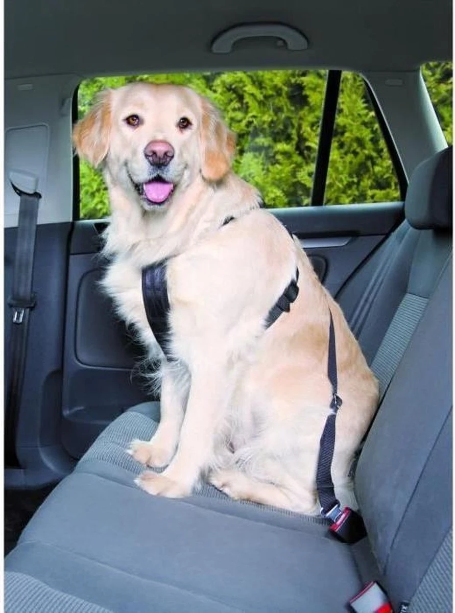 Trixie Auto-Tuig Zwart Maat - M 15 Trixie Auto-Tuig Zwart Maat - M - Afbeelding 13