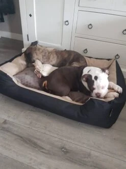 Hondenmand Cordura XXL – Zwart + Grijs - 100 X 75 X 23 Cm 17 Hondenmand Cordura XXL – Zwart + Grijs - 100 X 75 X 23 Cm -Hondenartikelen Serie Winkel 892x1200 1