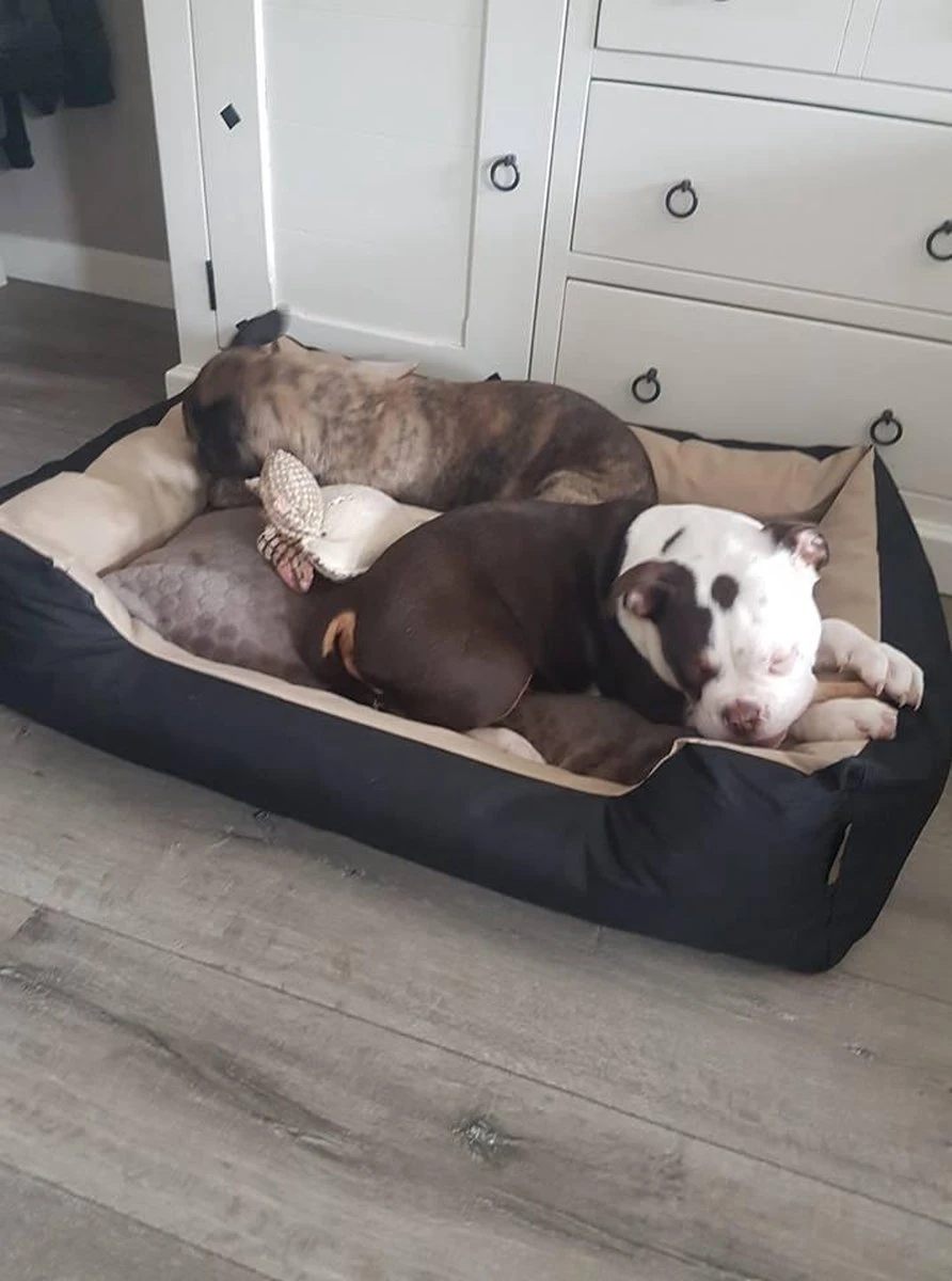 Hondenmand Cordura XXL – Zwart + Grijs - 100 X 75 X 23 Cm 10 Hondenmand Cordura XXL – Zwart + Grijs - 100 X 75 X 23 Cm - Afbeelding 8