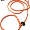 Abany Quality Design 1.80 Mtr Oranje - Jachtlijn - Dubbele Stop - Retrieverlijn - Gentle Leader - Lijn Leiband Met Halsband - Sliplijn Met Stop – Half Slip - Puppylijn - Vanglijn - Mantrailing - - 1R19019 1 Abany Quality Design 1.80 Mtr Oranje - Jachtlijn - Dubbele Stop - Retrieverlijn - Gentle Leader - Lijn Leiband Met Halsband - Sliplijn Met Stop – Half Slip - Puppylijn - Vanglijn - Mantrailing - - 1R19019 -Hondenartikelen Serie Winkel 895x1200 13