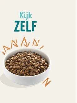 Edgard & Cooper Verse Scharrelkip Adult - Hondenvoer - 7kg 26 Edgard & Cooper Verse Scharrelkip Adult - Hondenvoer - 7kg -Hondenartikelen Serie Winkel 897x1200