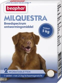 Beaphar Milquestra Ontworming Tabletten Hond 5-50kg 2 Tabletten 27 Beaphar Milquestra Ontworming Tabletten Hond 5-50kg 2 Tabletten -Hondenartikelen Serie Winkel 898x1200 5