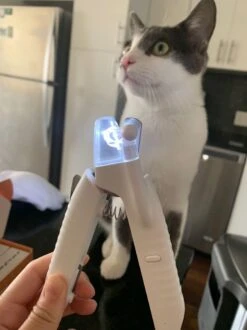 SunnyPets - Professionele Dieren Nagelknipper - Wit - Met LED En Vijl - Hond - Kat - Geschikt Voor Alle - Nageltang -Hondenartikelen Serie Winkel 899x1200 15