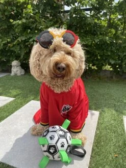 Honden Speelgoed Bal Voetbal Extra Sterk Met Handvaten Ball Hondenbal - 15 Cm - Dutchwide -Hondenartikelen Serie Winkel 899x1200 29