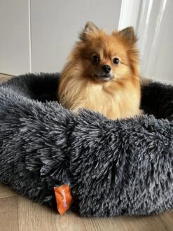 Happysnoots Hondenmand Met Rits - 80cm - Hondenbed - Donut Dog Bed - Fluffy - Grijs - Wasbaar 25 Happysnoots Hondenmand Met Rits - 80cm - Hondenbed - Donut Dog Bed - Fluffy - Grijs - Wasbaar -Hondenartikelen Serie Winkel 899x1200 3