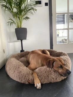 Happysnoots Hondenmand Met Rits - 80cm - Hondenbed - Donut Dog Bed - Fluffy - Grijs - Wasbaar 29 Happysnoots Hondenmand Met Rits - 80cm - Hondenbed - Donut Dog Bed - Fluffy - Grijs - Wasbaar -Hondenartikelen Serie Winkel 899x1200 4