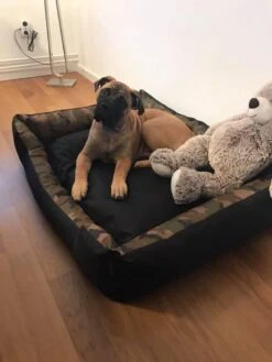 Hondenmand Cordura XXXL – Donkergrijs - 125 X 90 X 24 Cm 14 Hondenmand Cordura XXXL – Donkergrijs - 125 X 90 X 24 Cm -Hondenartikelen Serie Winkel 900x1200 15