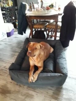 Hondenmand Cordura XXXL – Donkergrijs - 125 X 90 X 24 Cm 16 Hondenmand Cordura XXXL – Donkergrijs - 125 X 90 X 24 Cm -Hondenartikelen Serie Winkel 900x1200 16