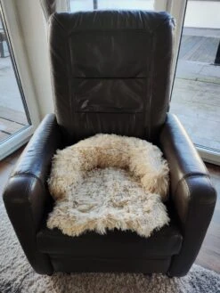 Kussen Voor Kat Of Kleine Hond | Fluffy Dierenkussen Van Pluche | Kat | Bank | Mand | Kattenmand | Kattendeken & Bankbeschermer Max. 15 Kg | Beige | Maat XS -Hondenartikelen Serie Winkel 900x1200 19