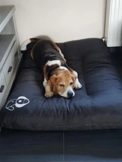 Hondenkussen XL - Donkergrijs - 60 X 90 X 12 -Hondenartikelen Serie Winkel 900x1200 20