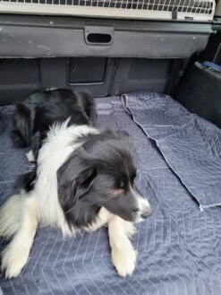 Luxe Hondendeken 200 X 150 Cm Auto Achterbank Kofferbak Vuilafstotend & Beschermend 8 Luxe Hondendeken 200 X 150 Cm Auto Achterbank Kofferbak Vuilafstotend & Beschermend -Hondenartikelen Serie Winkel 900x1200 24