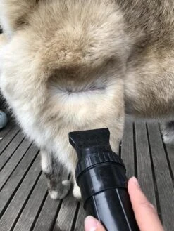 Waterblazer Hond - Hondendroger -Hondenartikelen Serie Winkel 900x1200 26