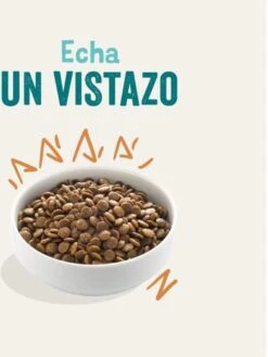 Edgard & Cooper Verse Scharrelkip Adult - Hondenvoer - 7kg 29 Edgard & Cooper Verse Scharrelkip Adult - Hondenvoer - 7kg -Hondenartikelen Serie Winkel 900x1200 6