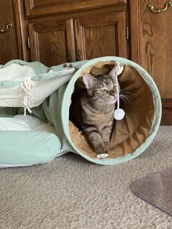 Pishoo® Kattentunnel - Speeltunnel Kat - Kattenspeeltjes - Kattenmand - Kattenhuis - Lichtgroen -Hondenartikelen Serie Winkel 900x1200 62