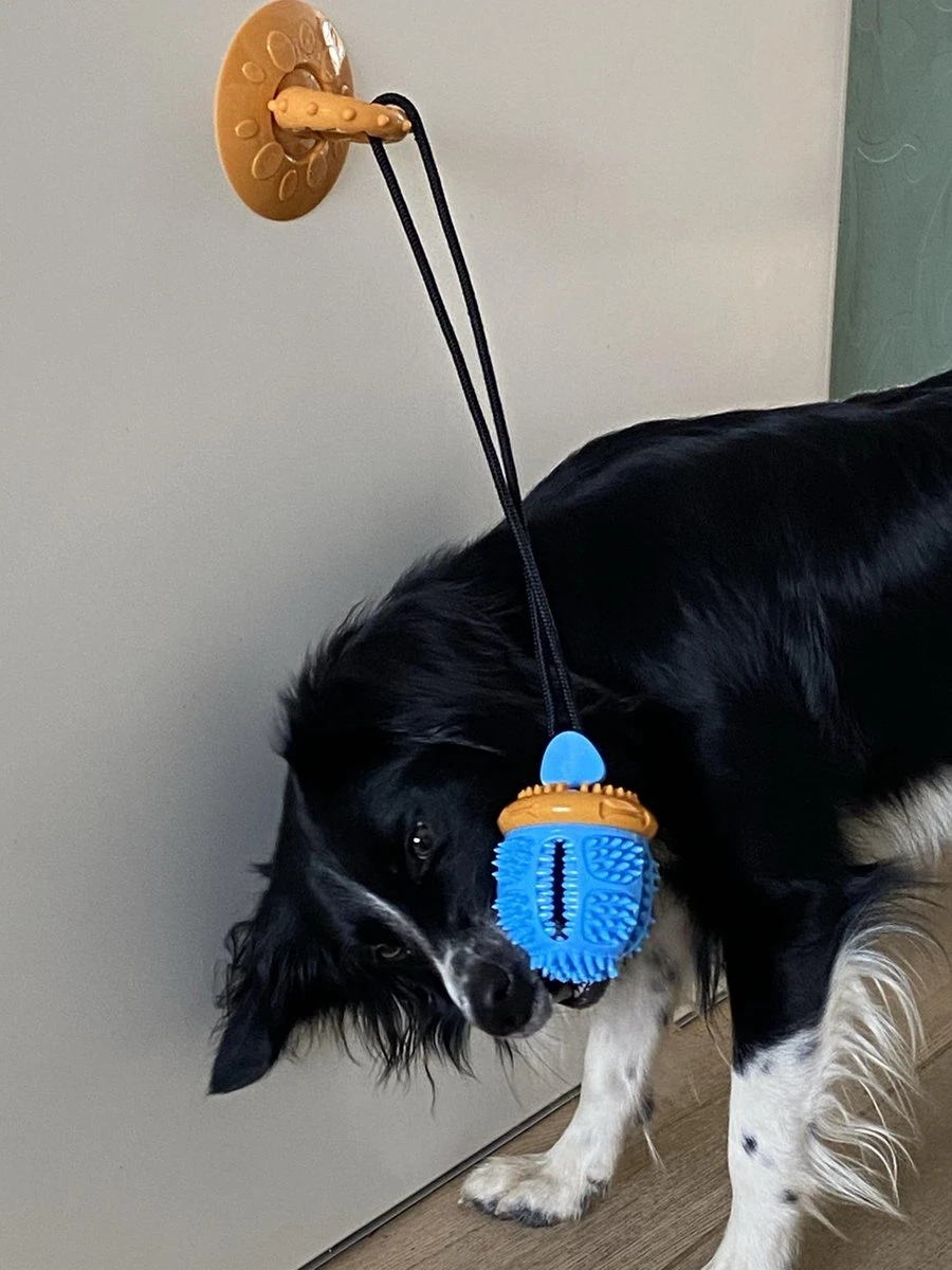 Merkloos Speelbal -Hondenspeelgoed Interactief - Hondenspeeltjes - Kauwspeelgoed Hond - 45 Cm 7 Merkloos Speelbal -Hondenspeelgoed Interactief - Hondenspeeltjes - Kauwspeelgoed Hond - 45 Cm - Afbeelding 5