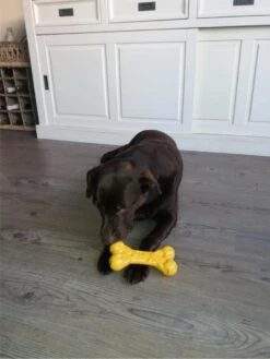Nylabone Extreme Kauwbot Met Kaassmaak - Voor De Krachtigste Kauwers - Vulbaar Met Smeersels Zoals Pindakaas - XS/M/L - Large 15 Nylabone Extreme Kauwbot Met Kaassmaak - Voor De Krachtigste Kauwers - Vulbaar Met Smeersels Zoals Pindakaas - XS/M/L - Large -Hondenartikelen Serie Winkel 900x1200 65