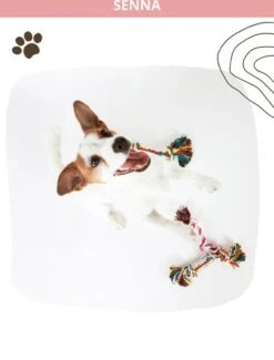 Speeltouw Hond - 3 Stuks - Speelgoed Hond - Flostouw - Hondenspeelgoed - Puppy - Trektouw -Hondenartikelen Serie Winkel 912x1200 5