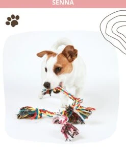 Speeltouw Hond - 3 Stuks - Speelgoed Hond - Flostouw - Hondenspeelgoed - Puppy - Trektouw -Hondenartikelen Serie Winkel 912x1200 7