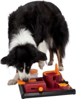 Trixie Dog Activity Poker Box 2 31x31 Cm -Hondenartikelen Serie Winkel 922x1200 7