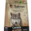 Carnis Salmon Regular Geperst Hondenvoer 12,5 Kg - Hond 1 Carnis Salmon Regular Geperst Hondenvoer 12,5 Kg - Hond -Hondenartikelen Serie Winkel 935x1200 1