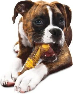 Nylabone Extreme Kauwbot Textuur Met Rund- En Kaassmaak -Hondenartikelen Serie Winkel 937x1200 11