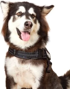 Woofy Hondentuig - Anti Trek - Hondenharnas - Reflecterend - Verstelbaar -Hondenartikelen Serie Winkel 943x1200 1