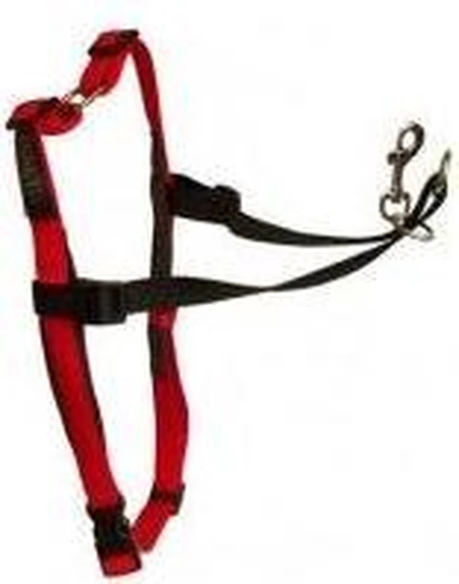 Company Of Animals Halti Harnass Anti Trektuigje - Hond - Small - Borstomvang 30 Tot 60 Cm - Rood 9 Company Of Animals Halti Harnass Anti Trektuigje - Hond - Small - Borstomvang 30 Tot 60 Cm - Rood - Afbeelding 7