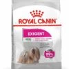 Royal Canin Ccn Exigent Mini - Hondenvoer - 1 Kg 2 Royal Canin Ccn Exigent Mini - Hondenvoer - 1 Kg -Hondenartikelen Serie Winkel 950x1200