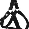 DDOXX Hondenharnas Nylon, Step-In, Verstelbaar, Uitbraakbestendig | Voor Kleine, Middelgrote & Grote Honden | Borstharnas Hond Kat Puppy Auto | Puppy Harnas Kat Harnas | Zwart, S -Hondenartikelen Serie Winkel 954x1200 1