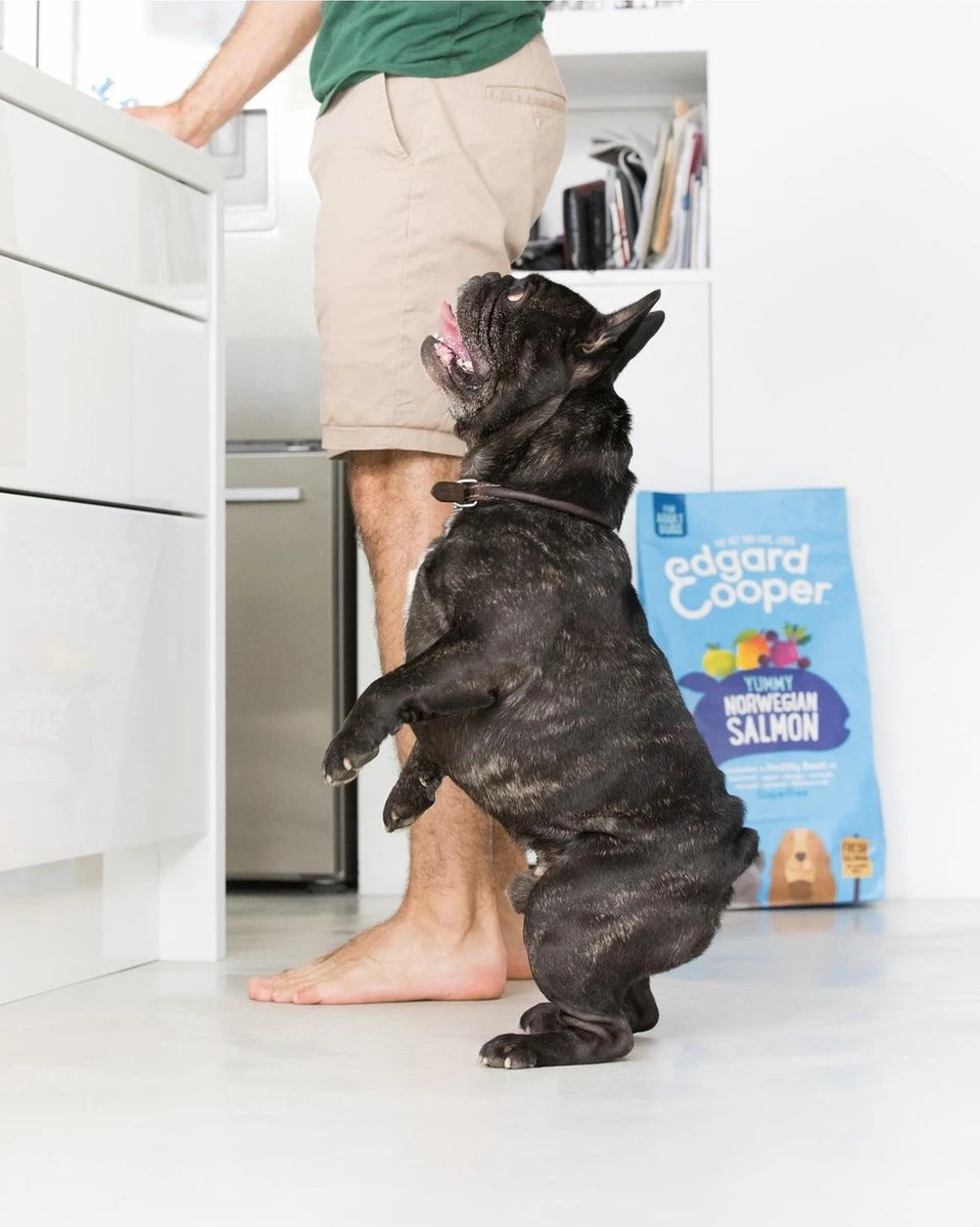 Edgard & Cooper Verse Noorse Zalm Adult - Hondenvoer - 7kg 10 Edgard & Cooper Verse Noorse Zalm Adult - Hondenvoer - 7kg - Afbeelding 8