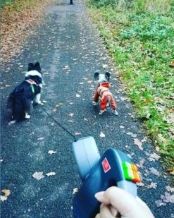 Wigzi Dual Doggie 2.0 Voor Twee Honden - Hondenriem - Grijs - 3m - <22 Kg (per Hond) -Hondenartikelen Serie Winkel 960x1200 6