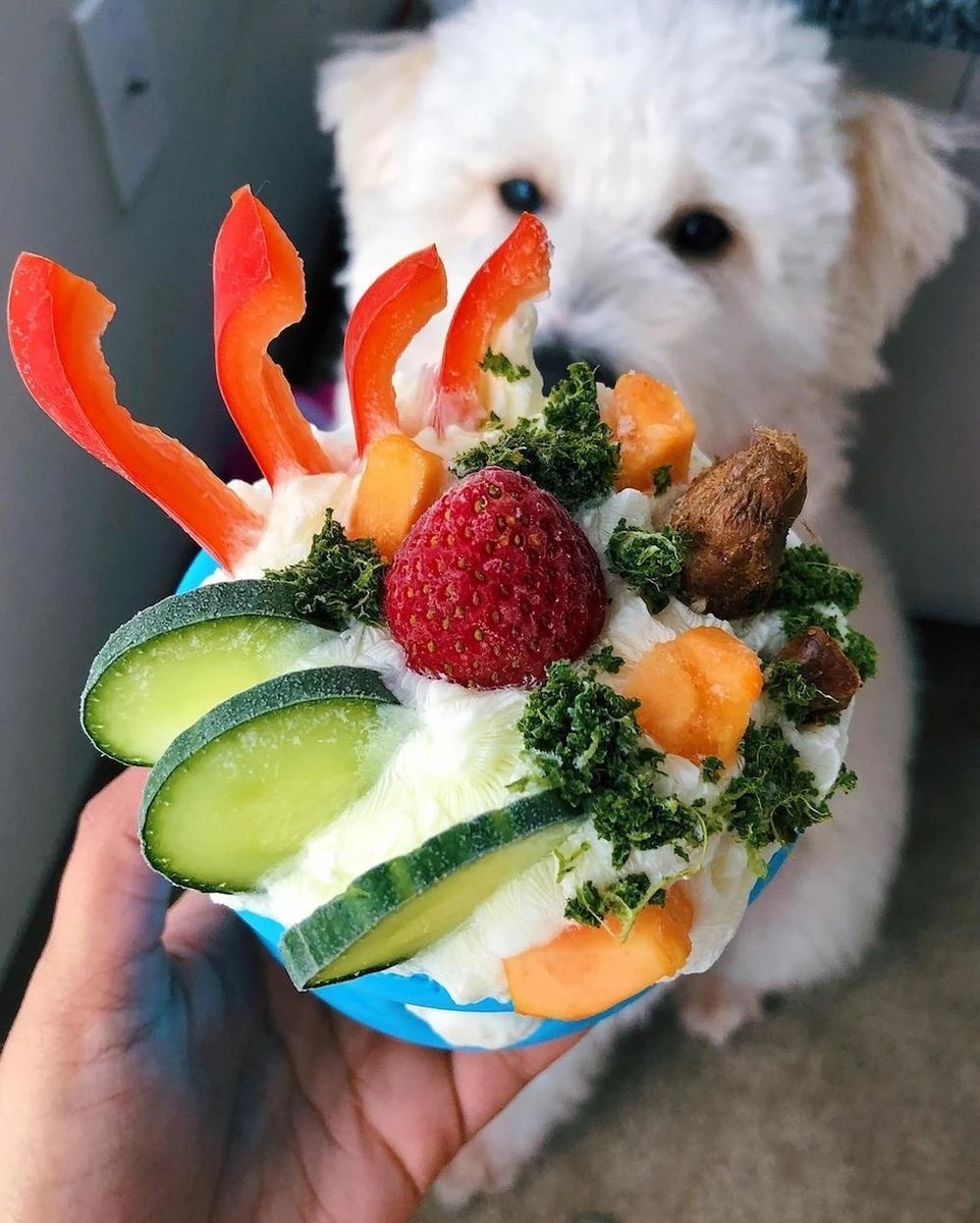 West Paw Toppl Zogoflex - Uitdagend En Sterk Speelgoed Voor Honden - Slowfeeder - Vulbaar Met Voer Of Snacks - Kleur: Groen, Maat: Large 11 West Paw Toppl Zogoflex - Uitdagend En Sterk Speelgoed Voor Honden - Slowfeeder - Vulbaar Met Voer Of Snacks - Kleur: Groen, Maat: Large - Afbeelding 9