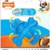 Nylabone Flexi Voor Honden Puppy Teething X Bone Beef Tot 11 Kg -Hondenartikelen Serie Winkel 972x1200 4