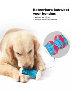 3-in-1 Hondenkauwbot - Gebitsverzorging - IQ Training - Voedsel Afgifte Functie - Geometrisch Ontwerp - Duurzaam & Milieuvriendelijk - Kauwbot - Honden - Hondenbot - Rood 12 3-in-1 Hondenkauwbot - Gebitsverzorging - IQ Training - Voedsel Afgifte Functie - Geometrisch Ontwerp - Duurzaam & Milieuvriendelijk - Kauwbot - Honden - Hondenbot - Rood -Hondenartikelen Serie Winkel 972x1200 5