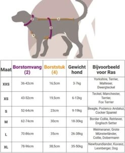 Anny.X Hondentuig Y Tuig Bruin Barnsteen Maat L Geschikt Voor Borstomvang 70-86cm -Hondenartikelen Serie Winkel 977x1200 2