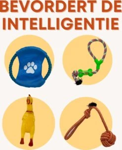 (Goedkoopste) Honden Speelgoed Set 15 Stuks Geschikt Voor Puppy's T/m Middelgrote Honden - Honden Kauw Speelgoed - 15 Stuks - Hondenspeeltjes - Intelligentie - Touw - Flostouw - Bijtring - Bal - Huisdieren Speelgoed -Hondenartikelen Serie Winkel 979x1200 5