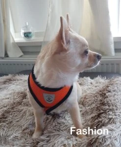 Luxyana® Hondentuigje - S - 28-32cm - Geschikt Voor Kleine Honden En Als Kattenharnas - Easy Step-in Hondentuigje Voor De Kleine Hond Of Kat - Inclusief Bijpassend Riempje - Zwart 21 Luxyana® Hondentuigje - S - 28-32cm - Geschikt Voor Kleine Honden En Als Kattenharnas - Easy Step-in Hondentuigje Voor De Kleine Hond Of Kat - Inclusief Bijpassend Riempje - Zwart -Hondenartikelen Serie Winkel 992x1200 5