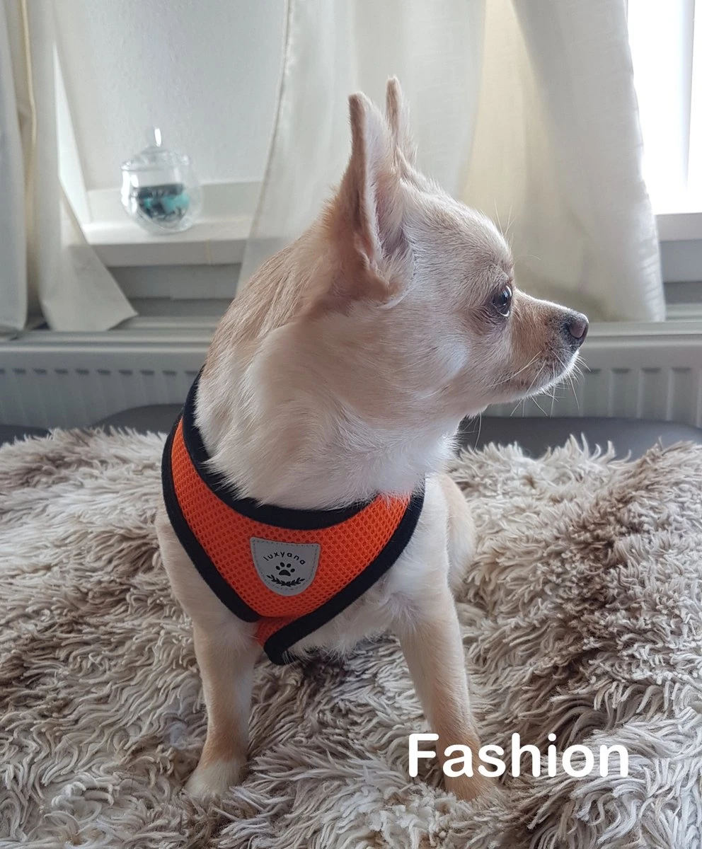 Luxyana® Hondentuigje - S - 28-32cm - Geschikt Voor Kleine Honden En Als Kattenharnas - Easy Step-in Hondentuigje Voor De Kleine Hond Of Kat - Inclusief Bijpassend Riempje - Zwart 9 Luxyana® Hondentuigje - S - 28-32cm - Geschikt Voor Kleine Honden En Als Kattenharnas - Easy Step-in Hondentuigje Voor De Kleine Hond Of Kat - Inclusief Bijpassend Riempje - Zwart - Afbeelding 7