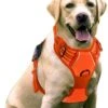 Sharon B - Hondentuigje - Voor Middelgrote Honden - Oranje - Maat M - No Pull - Anti Trek - Reflecterend - Hoeft Niet Over Het Hoofd Aangetrokken Te Worden -Hondenartikelen Serie Winkel 999x1200 17