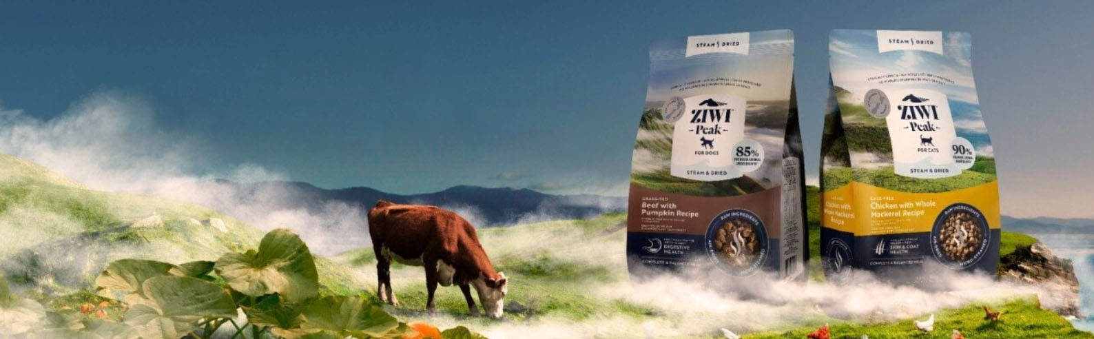 Hondenartikelen Serie Winkel -Hondenartikelen Serie Winkel thtd